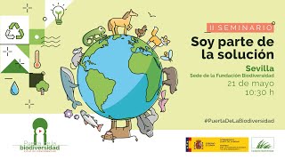 Miniatura de youtube